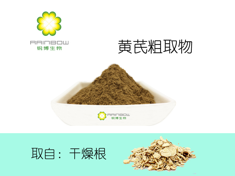 黃芪提取物 黃芪提取物