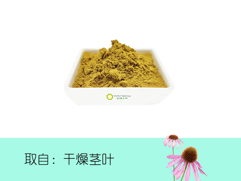 紫錐菊提取物