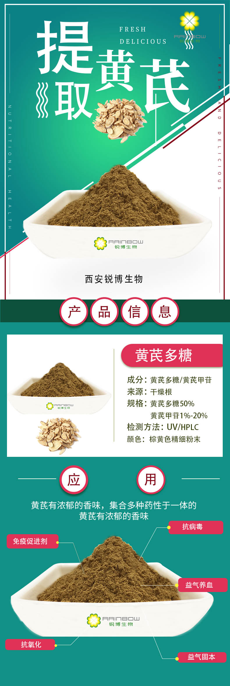 黃芪提取物 黃芪提取物