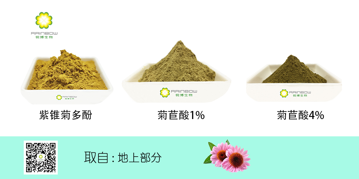 紫錐菊提取物