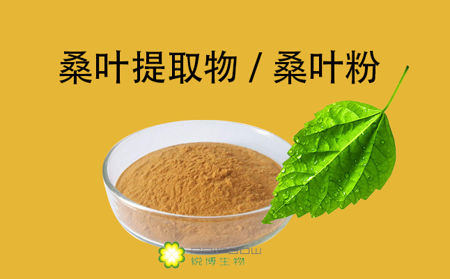 桑葉提取物 桑葉提取物