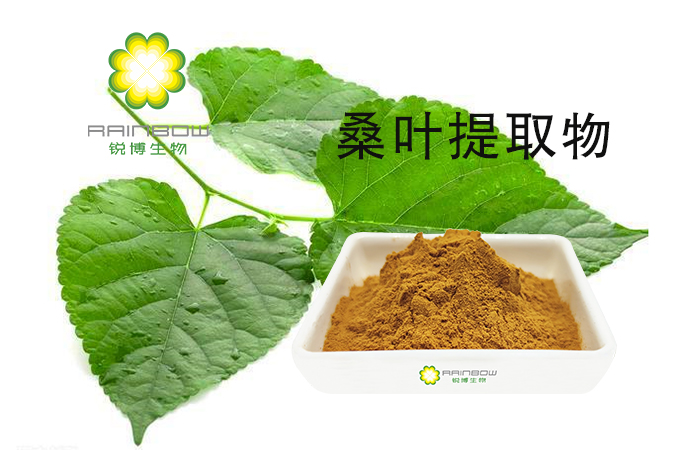 桑葉提取物 桑葉提取物